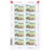 LES VOITURES DE COURSE MYTHIQUES - MCLAREN M19A LES VOITURES DE COURSE MYTHIQUES - MCLAREN M19A