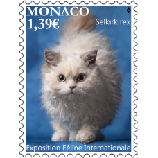 EXPOSITION FÉLINE INTERNATIONALE 2025