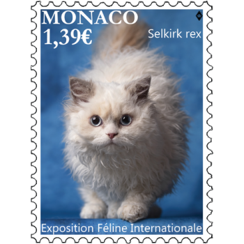 EXPOSITION FÉLINE INTERNATIONALE 2025