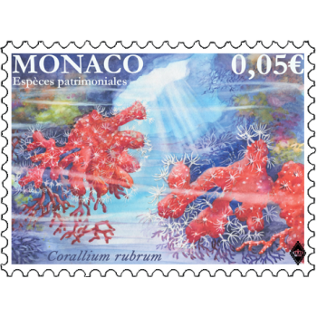 LES ESPÈCES PATRIMONIALES - LE CORAIL ROUGE LES ESPÈCES PATRIMONIALES - LE CORAIL ROUGE