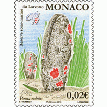 AIRE MARINE PROTÉGÉE DU LARVOTTO - PINNA NOBILIS