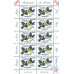 PARUS MAJOR PARUS MAJOR