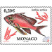 ANTHIAS ANTHIAS ANTHIAS ANTHIAS